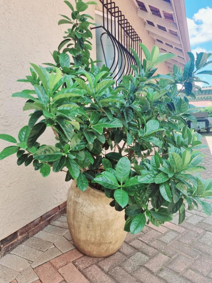 Isabel'S B & B Krugersdorp Ngoại thất bức ảnh